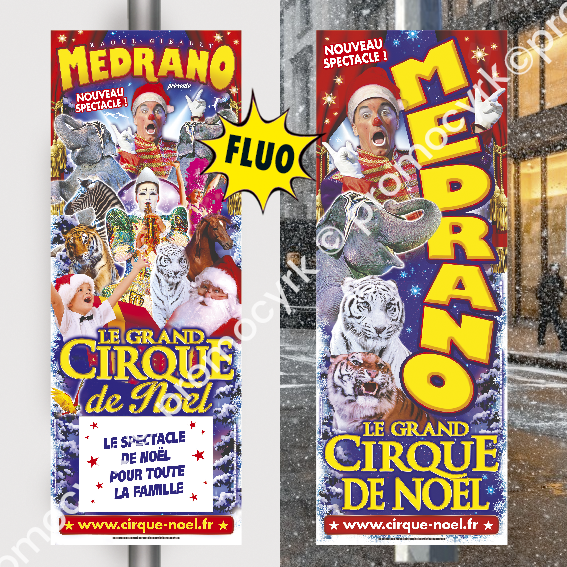 panneaux en carton pour les cirques affiche dans une ville