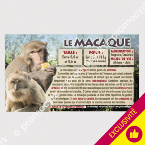 panneau info animaux le macaque format 70x40