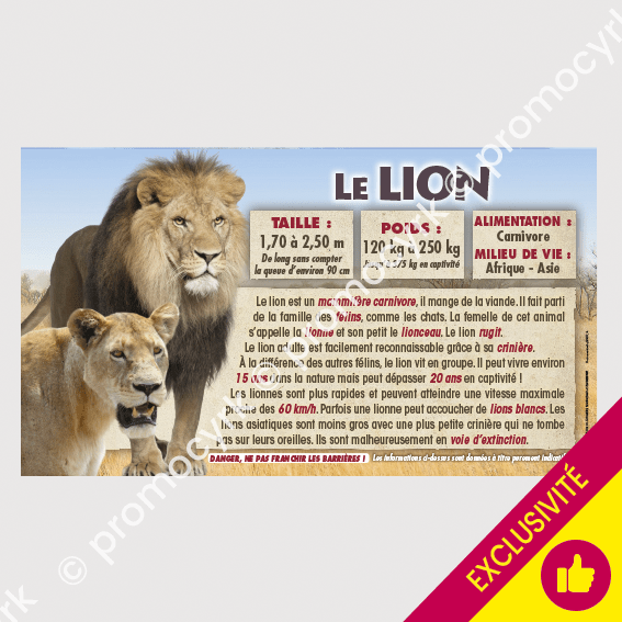 autocollant le lion format 70x40 informatif et pÃ©dagogique