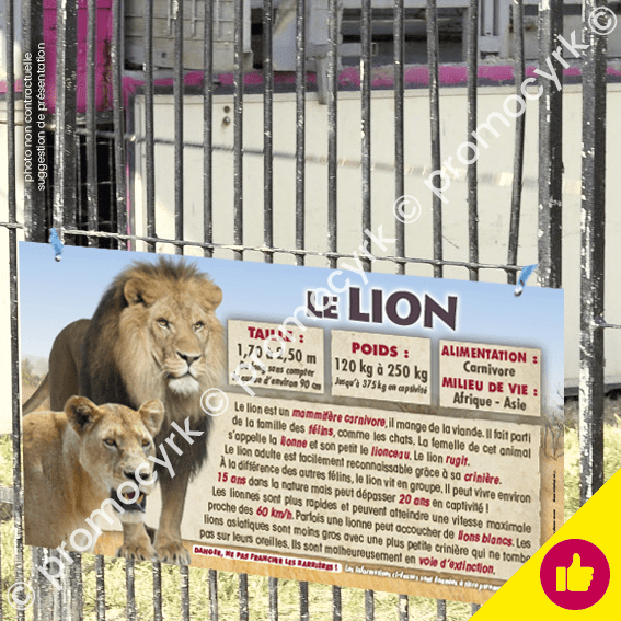 sticker pÃ©dagogique le lion Ã  coller sur un panneau rigide et Ã  accrocher sur les barriÃ¨res de sÃ©curitÃ©