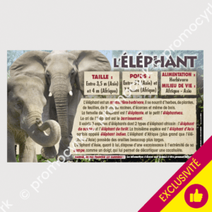 autocollant pÃ©dagogique l'Ã©lÃ©phant pour une sortie scolaire au cirque