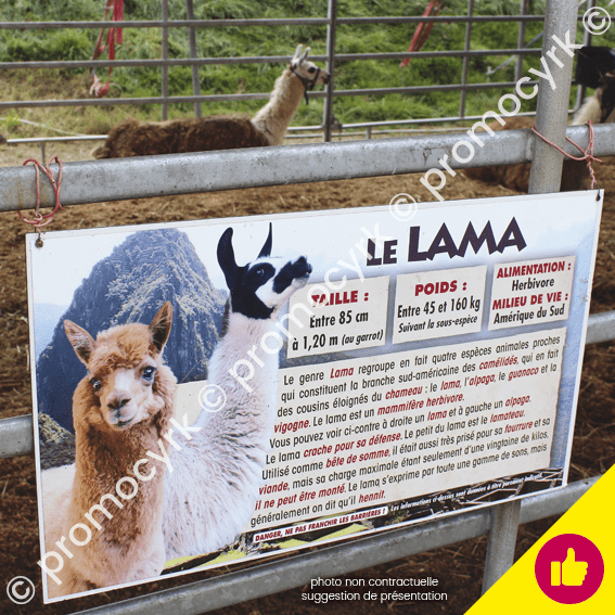 autocollants info animaux special lama avec toutes les caracteristiques