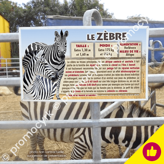 autocollants le zebre informatif et pedagogique pour la menagerie d'un cirque