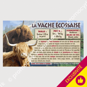stickers pÃ©dagogiques la vache Ã©cossaise pour un parc animalier ou autre