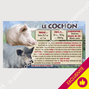 stickers le cochon a afficher dans un parc animalier ou un zoo