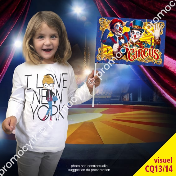 CSTD0253 drapeaux cirque en tissu avec joli clown standard CQ13 14 shop.promocyrk 2 impression de drapeau en tissu pour un spectacle de cirque