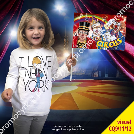CSTD0256 drapeaux cirque en tissu standard joli trio clowns shop.promocyrk 2 petit drapeau de tres bonne qualité pour les cirques